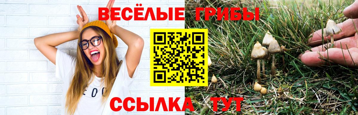 Галлюциногенные грибы ЛСД  Вход с VPN  магазин    Карачаевск 