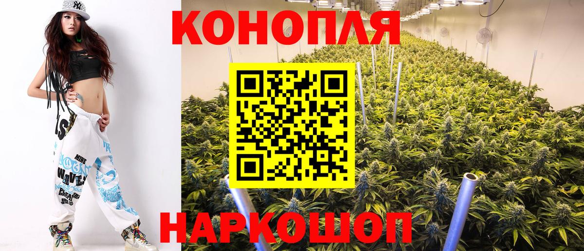 Карачаевск  Бошки марихуана план  Марихуана индика  Бошки марихуана OG Kush  Вход с VPN 